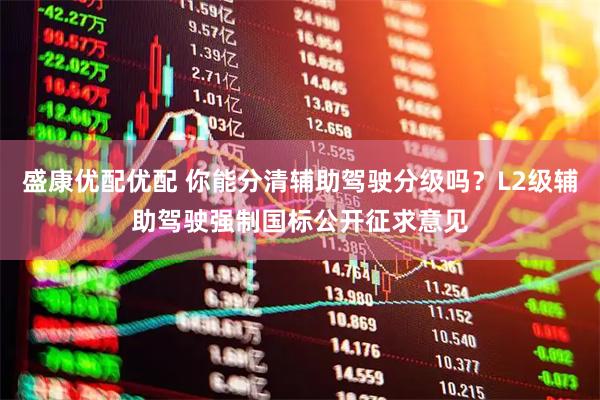 盛康优配优配 你能分清辅助驾驶分级吗？L2级辅助驾驶强制国标公开征求意见