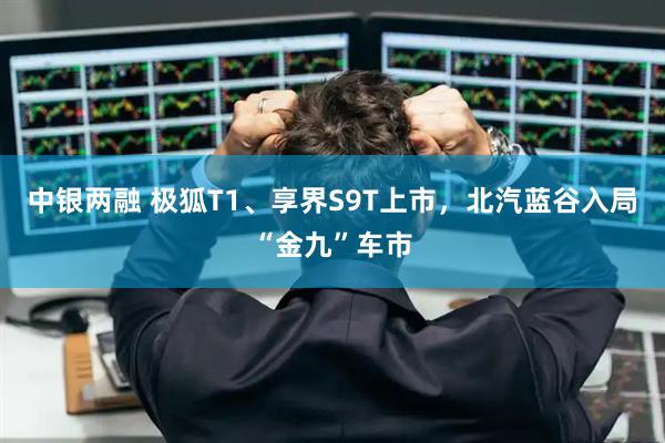 中银两融 极狐T1、享界S9T上市，北汽蓝谷入局“金九”车市