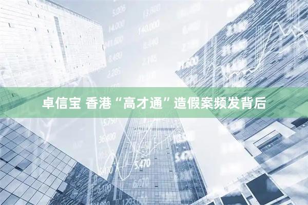 卓信宝 香港“高才通”造假案频发背后