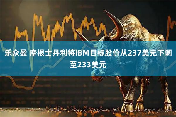 乐众盈 摩根士丹利将IBM目标股价从237美元下调至233美元