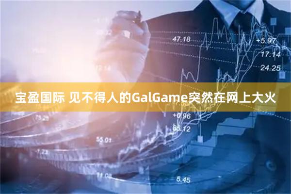 宝盈国际 见不得人的GalGame突然在网上大火