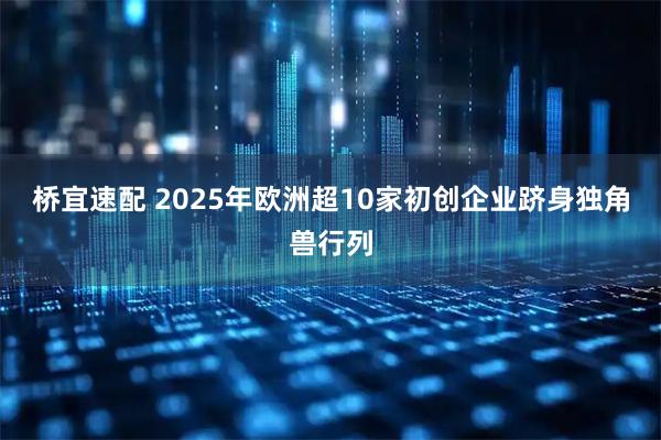 桥宜速配 2025年欧洲超10家初创企业跻身独角兽行列