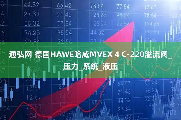 通弘网 德国HAWE哈威MVEX 4 C-220溢流阀_压力_系统_液压